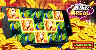 136 win bet